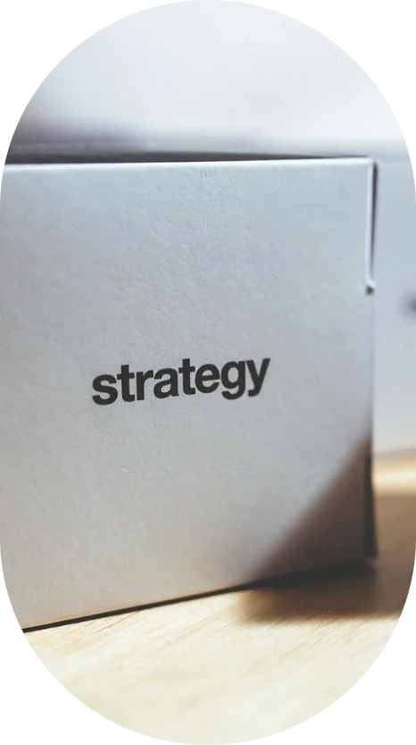 Comprehensive Growth Strategy